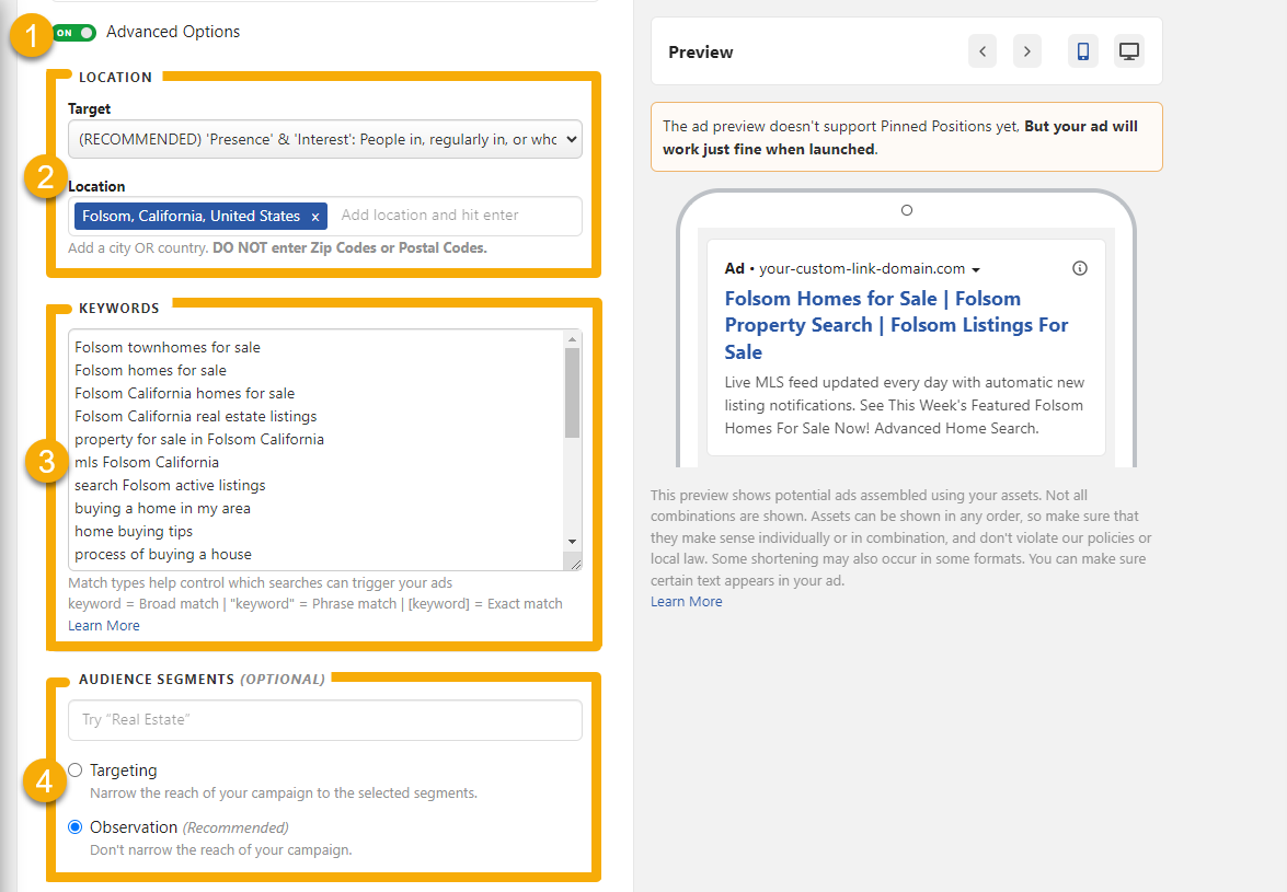 Google Ads Advanced Options.png