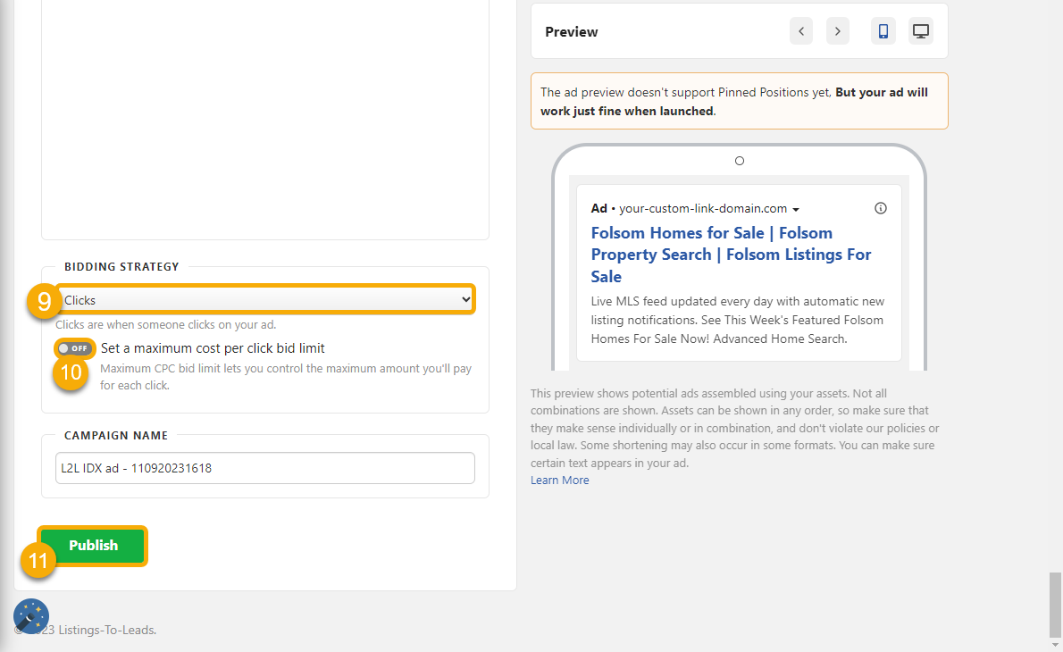 Google Ads Advanced options V.png