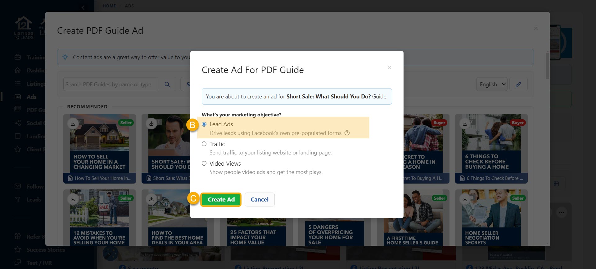 PDF Guides Ad Leads II.jpg