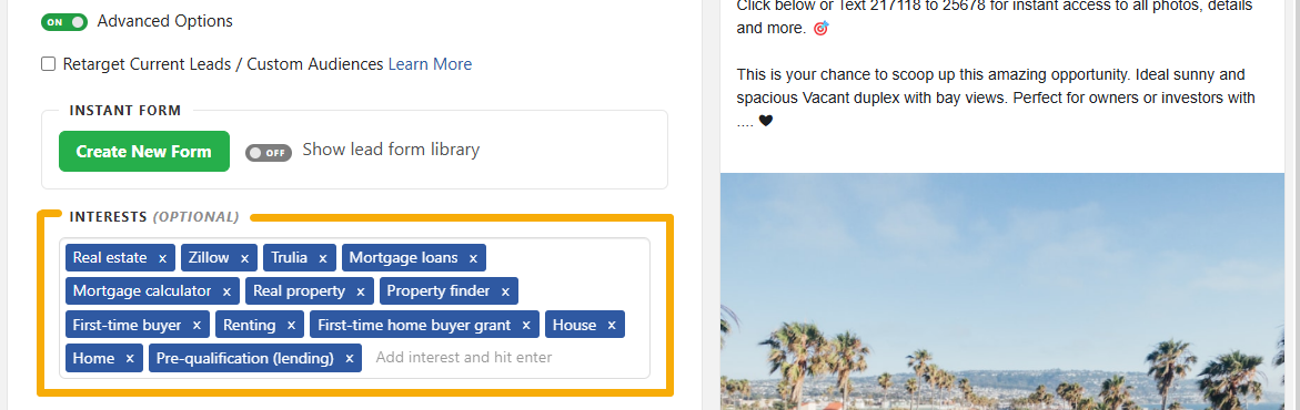 Interests Advanced Options.png